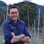 Winning orchardist launches into Rockit