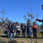 Future Orchards winter walks