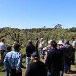 Sharing ideas to climate change-proof orchards