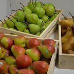 Research: What consumers want from apples and pears