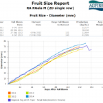 Managing orchards for fruit size