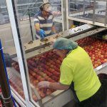 Reducing food safety risk in pack houses