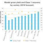 Orchard Business Analysis 2015-2016