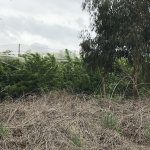 Rolling out AWM beyond commercial orchards