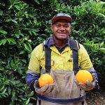 Pacific Island workers good for business and families