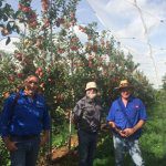 Focus Orchard and Trial Update April 2017