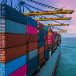 Applications for the export of mainland apples and pears to protocol markets in 2025–26
