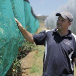 Determination to stop hail damage grows netting business