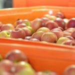 Horticulture Code of Conduct – Reminder