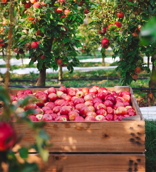 Fair and profitable supply chains