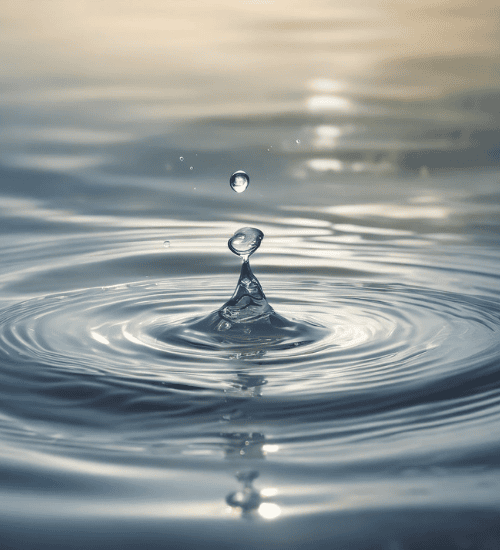 Climate resilience and water security