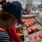 Post-harvest costs poorly understood, project reveals