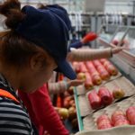 Post-harvest costs poorly understood, project reveals