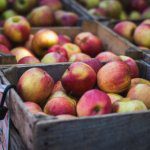 Positive consumer trends for apples and pears