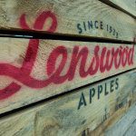Lenswood appoints new CEO