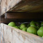 APAL ramps up support for exporters