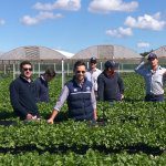 Agribusiness skills core to understanding growth