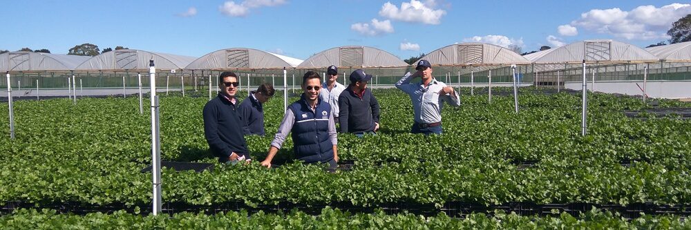 jack bartels herb farm