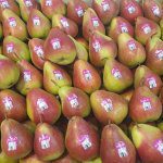 Australian pears bound for Thailand