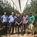 Multi-million program to net improved apple and pear productivity