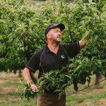 Surging secondary market spurs on organics