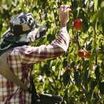 Employer of choice? Be assured of that