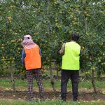 Coronavirus: Protecting workers, protecting business