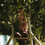 Opportunities to lift harvest efficiency and lower safety risks