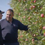 My Harvest – Michael Napoleone, Red Rich Fruits