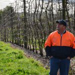 Robot-ready 2D orchards