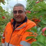 APAL begins review of US Apple Import Risk Assessment