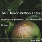 Future Orchards® – Tasmanian demonstration trial updates