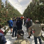 Future Orchards® Autumn walks – wrap