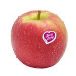 The compostable packaging move – will it ‘stick’?