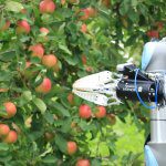 Life in MARS? The Monash robotic apple-picker
