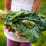 Hort Innovation’s new sustainability framework