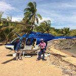 Fruit Fly success in the Torres Strait