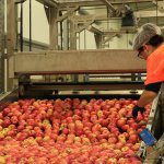 New fact sheet keeps Food Safety Culture top of mind