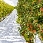 Farming by numbers: metrics that matter