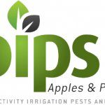 PIPS3 update: Advancing sustainable and technology driven apple orchard production systems (AP19003)