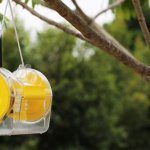 RapidAIM agtech offers new approach for pest control