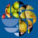 NRS report shows good compliance and industry standard for pome fruit
