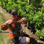 Down and dirty with soil health in WA