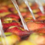 Join us for the Post-Harvest Forum