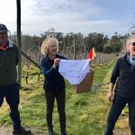 Getting to the ‘roots’ of soil health