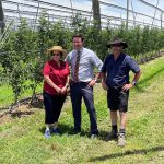 APAL welcomes national expansion of protective netting funding
