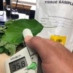 Benchmarking apple nutrition inputs and tree nitrogen status
