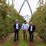 Govt prioritises apple and pear industry to help get a fair deal