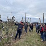 Winter orchard walks – What we have learnt so far 