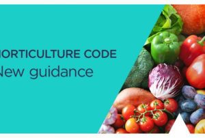 ACCC updates guidance material for Horticulture Code